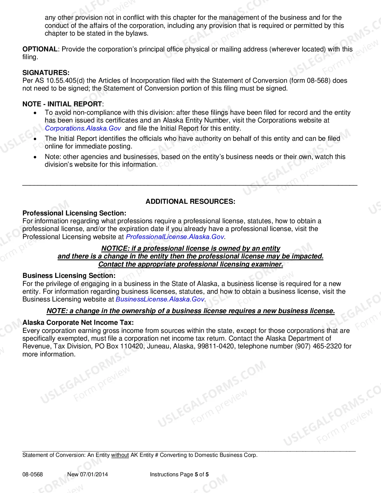 Preview Statement of Conversion - Entity without AK Entity Number Converting to Domestic Business Corporation