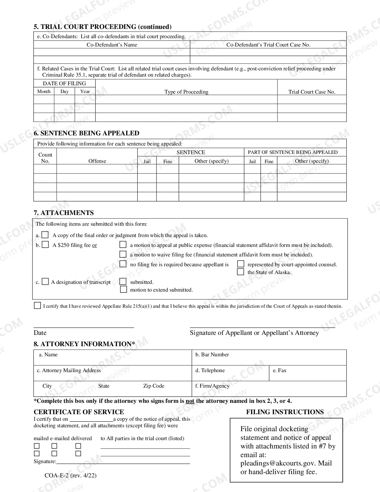 Preview Docketing Statement E