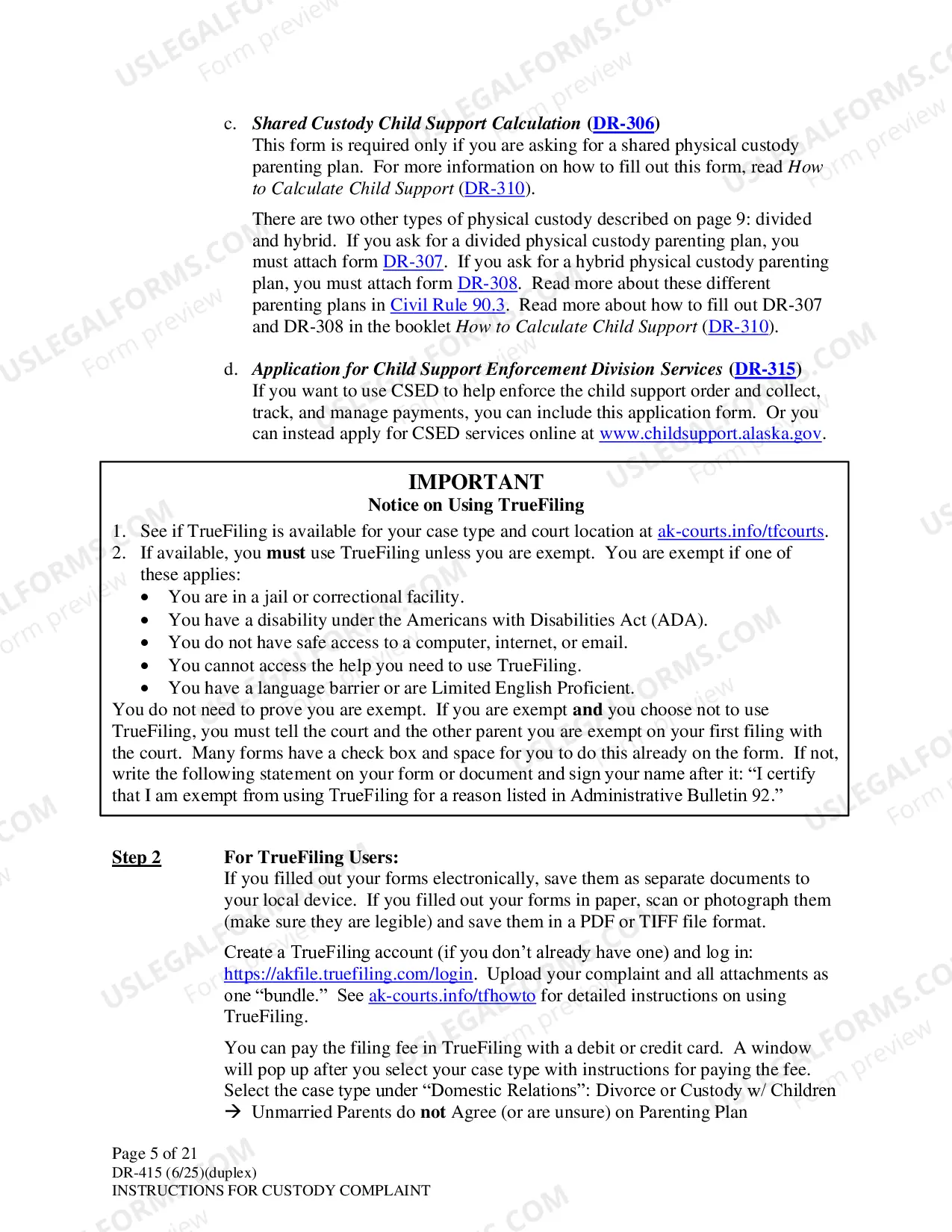 Preview Instructions for Filing Child Custody Case