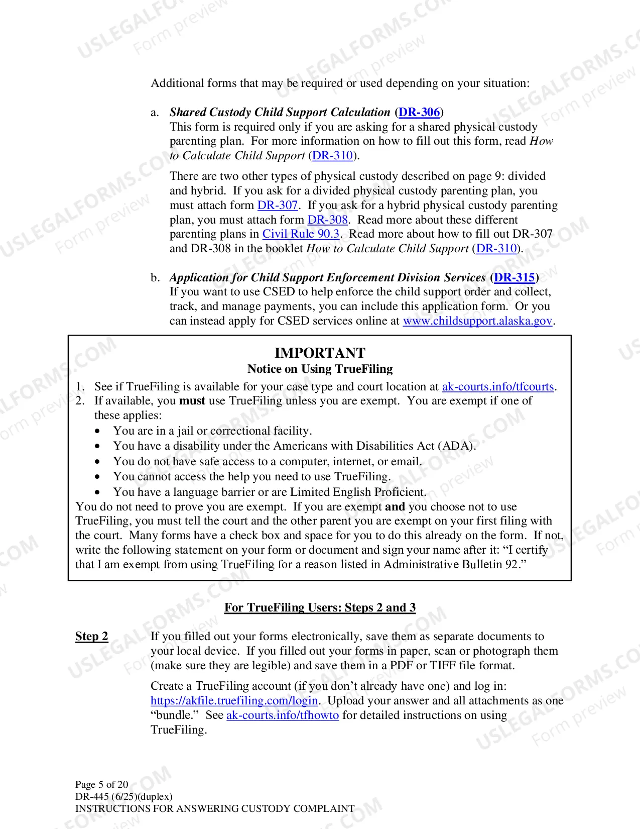 Preview Instructions for Answering a Child Custody Complaint