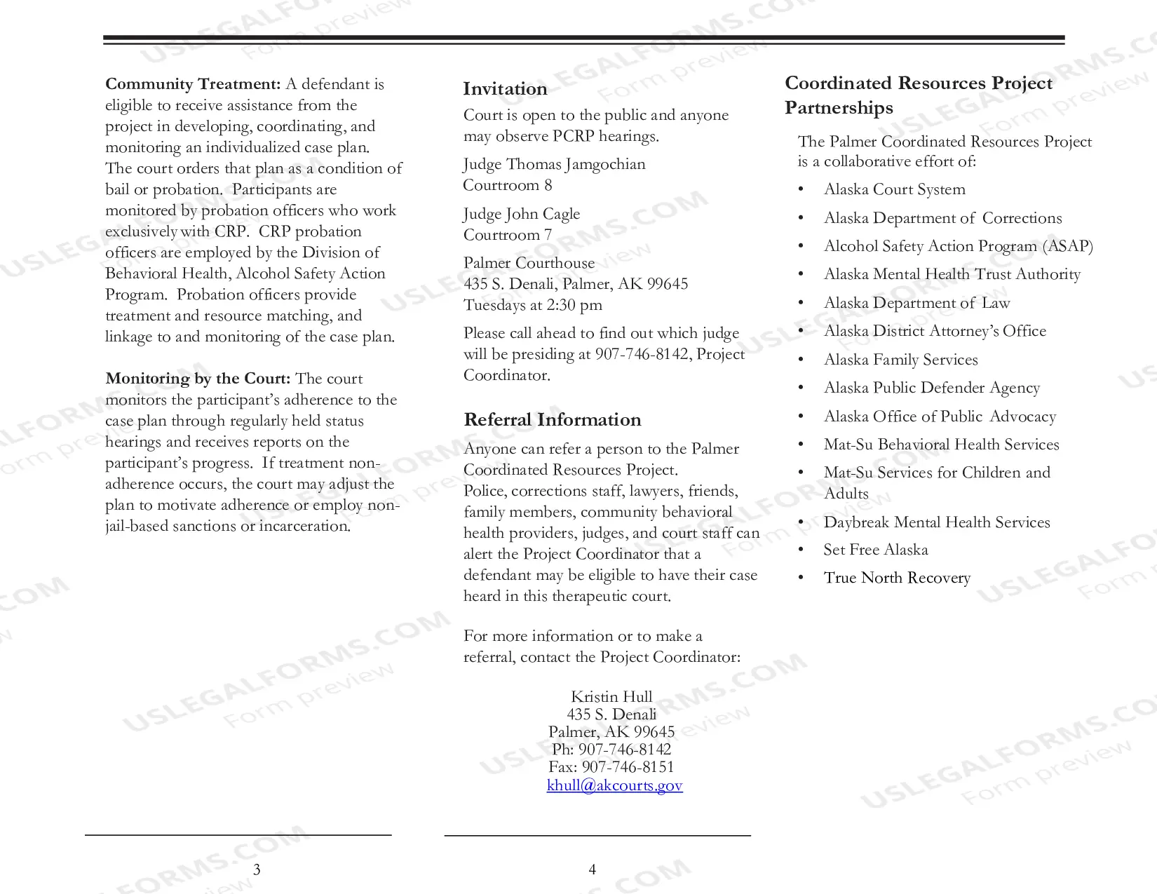 Preview Palmer Coordinated Resources Project - Mental Health Court