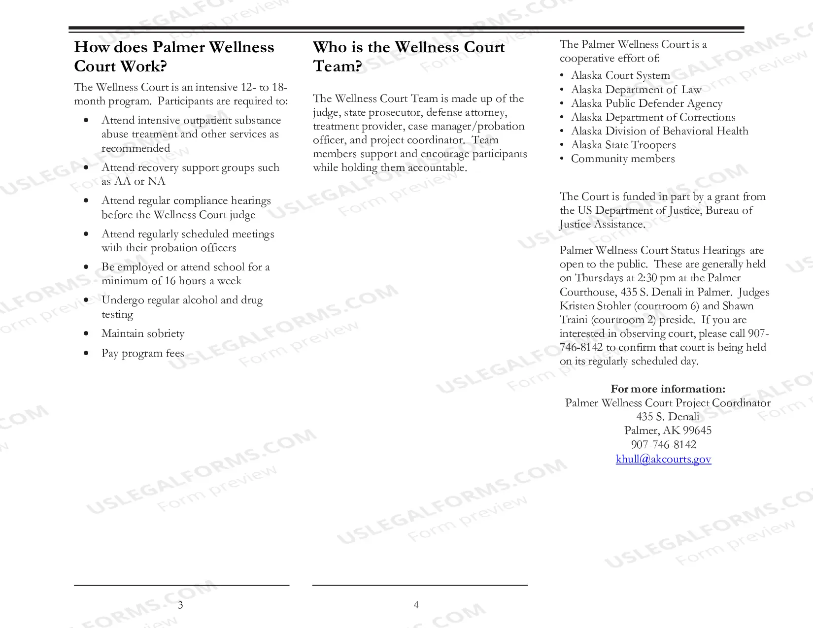 Preview Palmer Wellness Court