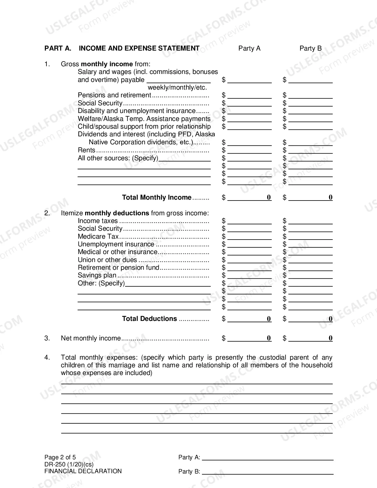 Preview Financial Declaration, DR-250
