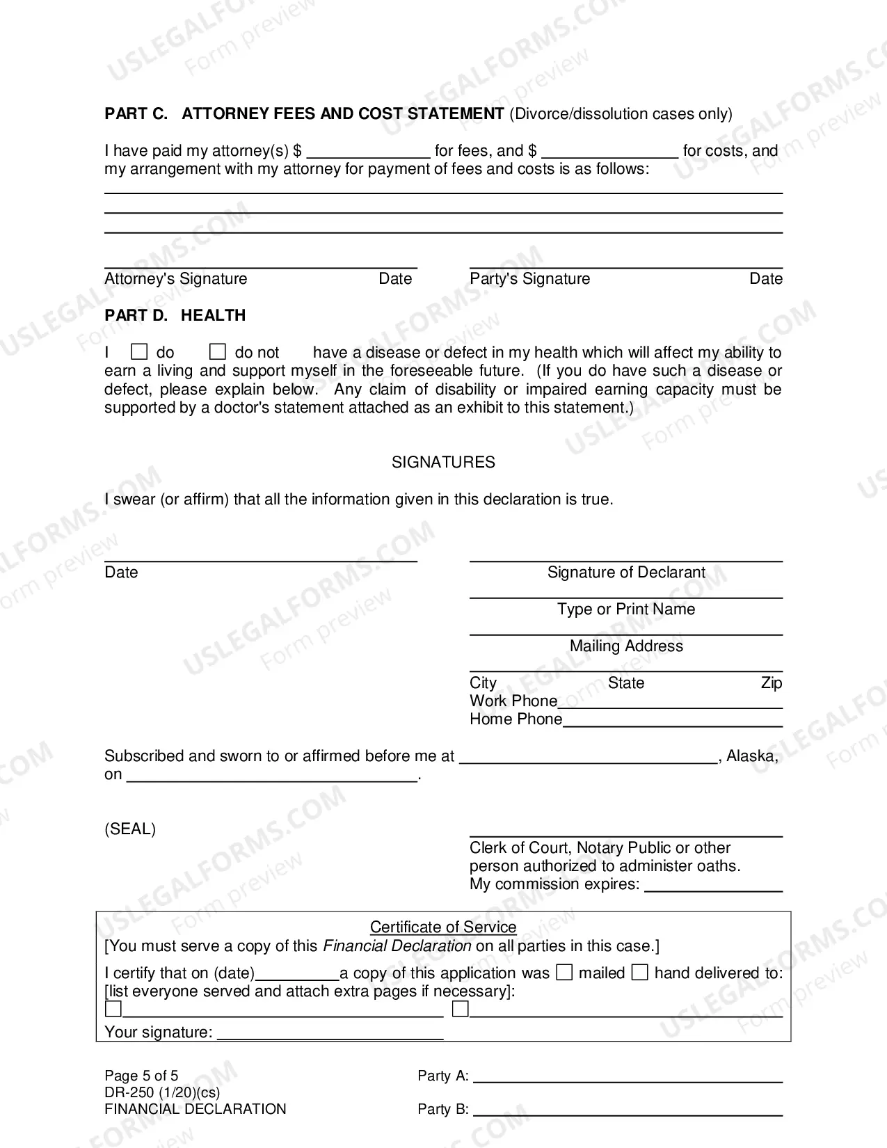 Preview Financial Declaration, DR-250