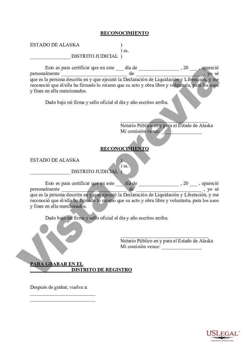 Preview Declaración de Liquidación y Liberación