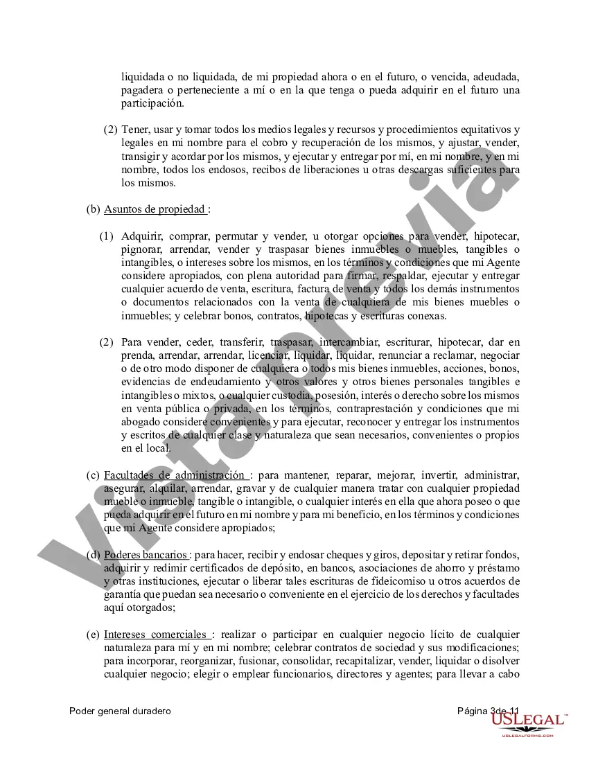 Preview Poder general duradero para la propiedad y las finanzas o efectivo financiero en caso de incapacidad
