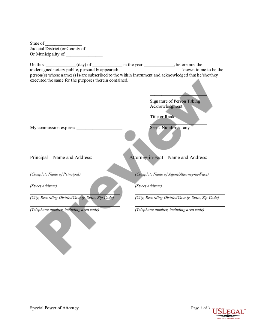 page 2 Special or Limited Power of Attorney for Real Estate Sales Transaction By Seller preview
