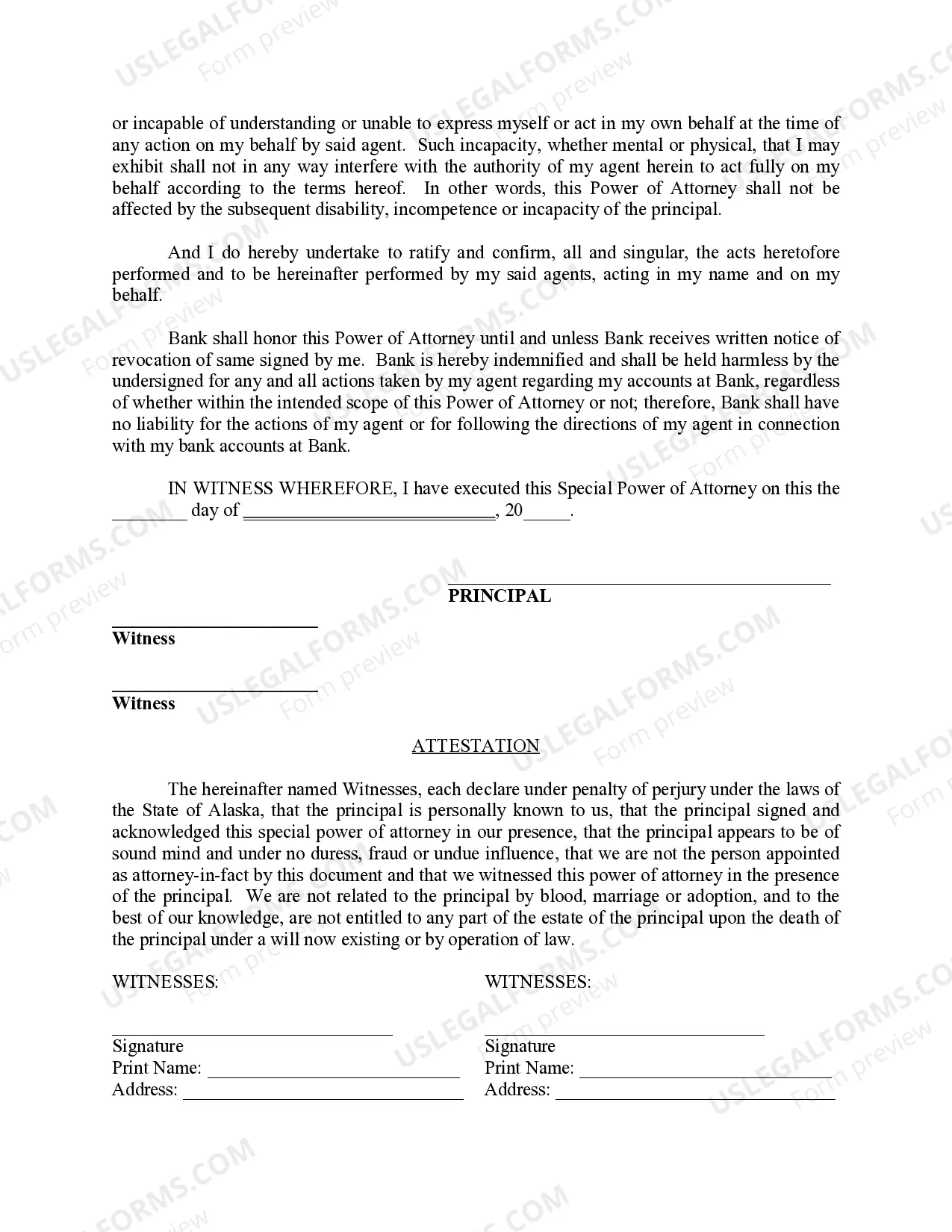 Preview Special Durable Power of Attorney for Bank Account Matters