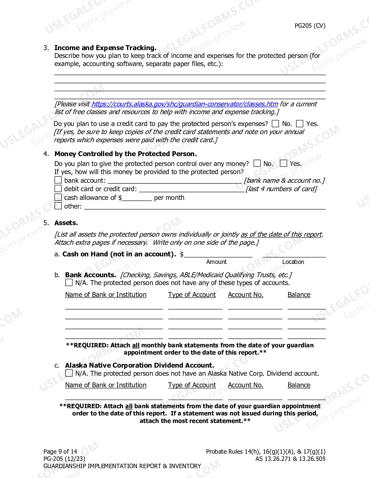 Preview Guardianship Implementation Report and Inventory