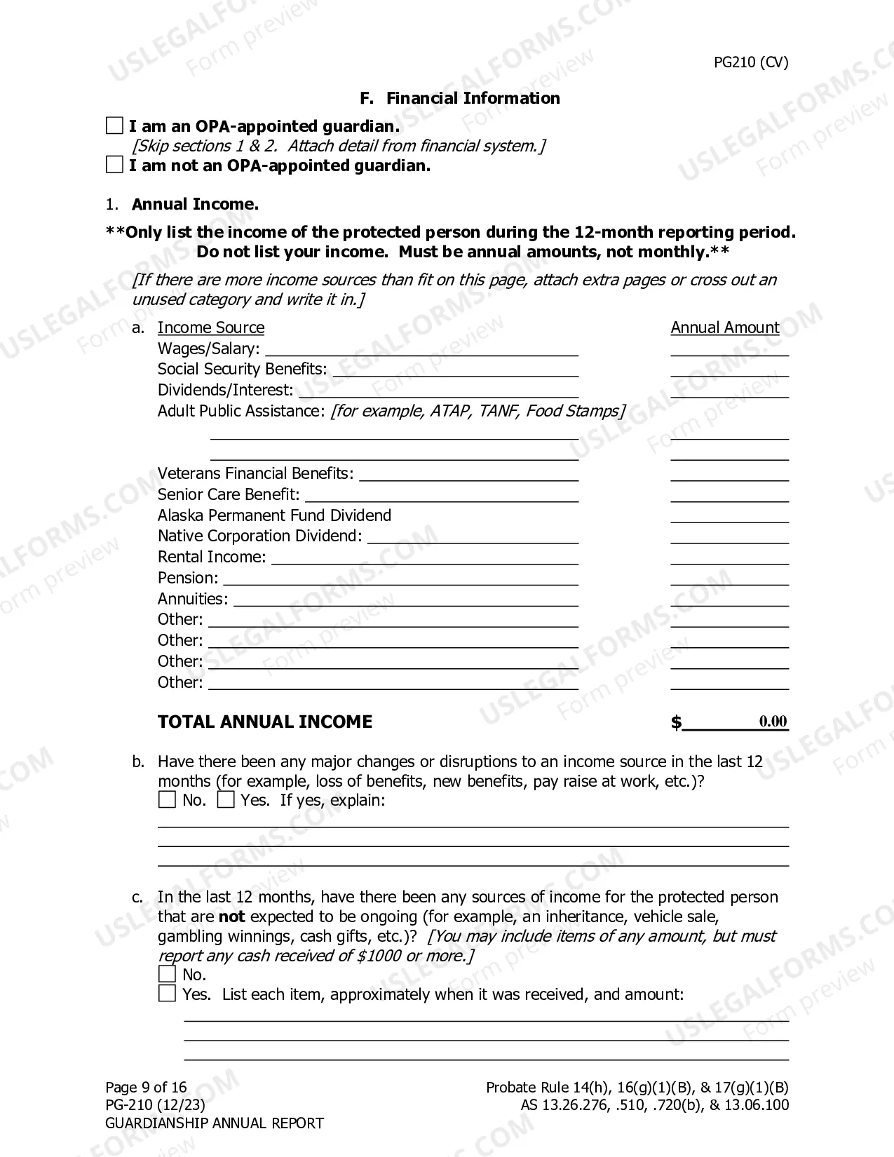 Preview Guardianship Annual Report