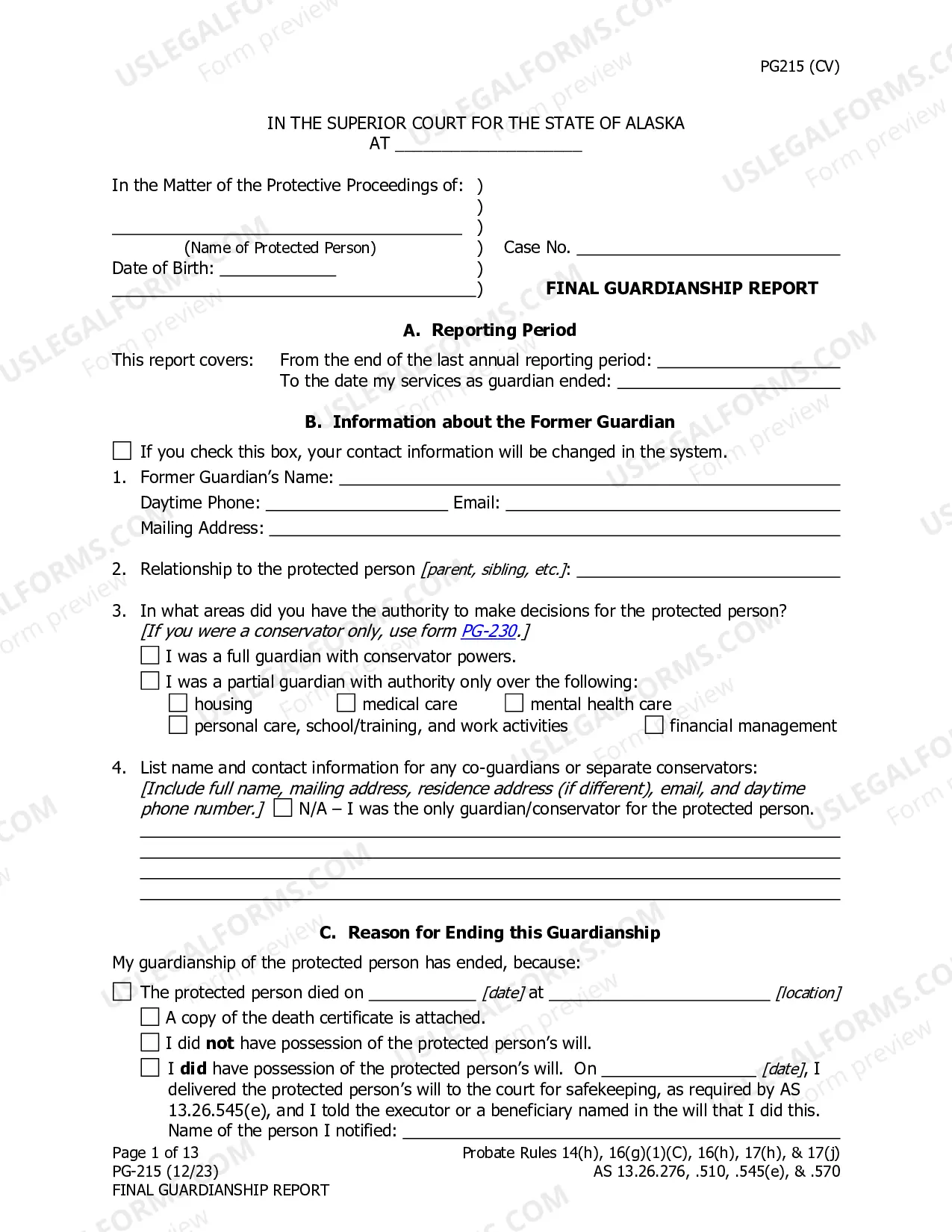 Preview Final Guardianship Report