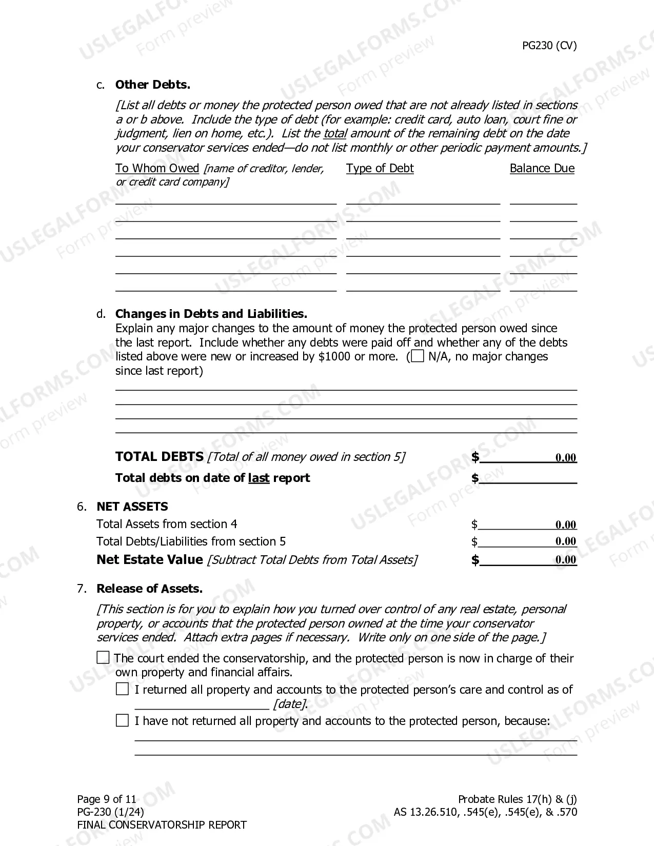 Preview Final Conservatorship Report