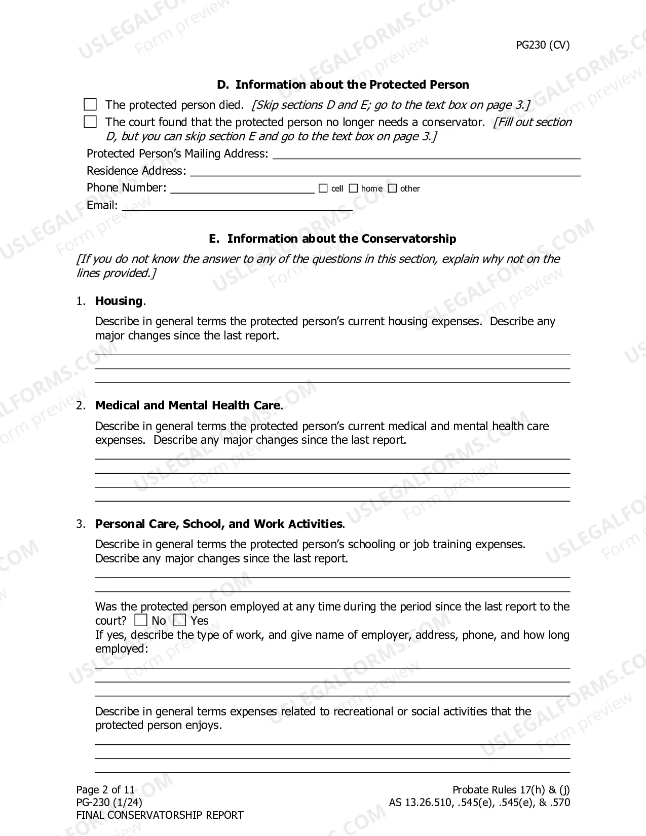 Preview Final Conservatorship Report