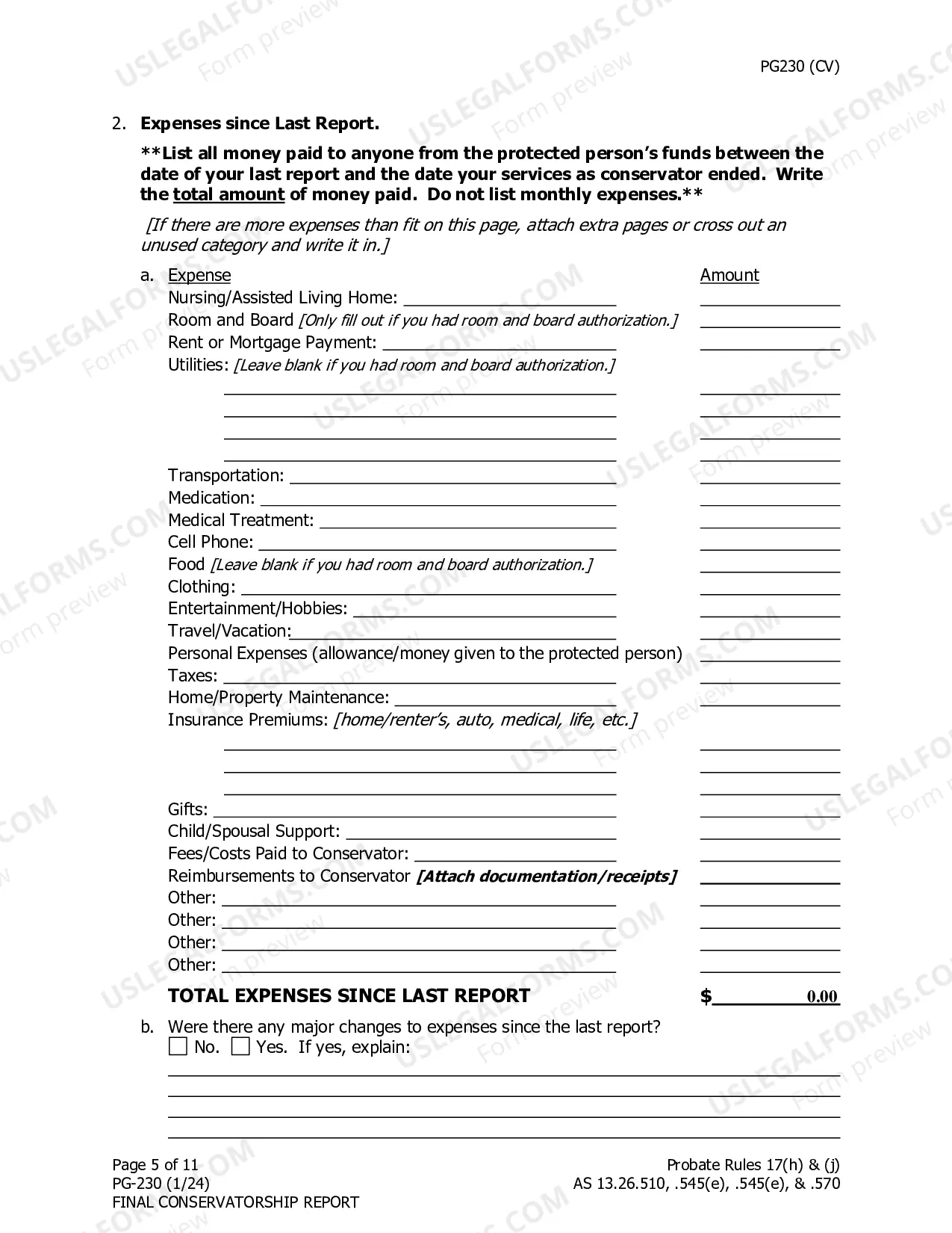 Preview Final Conservatorship Report