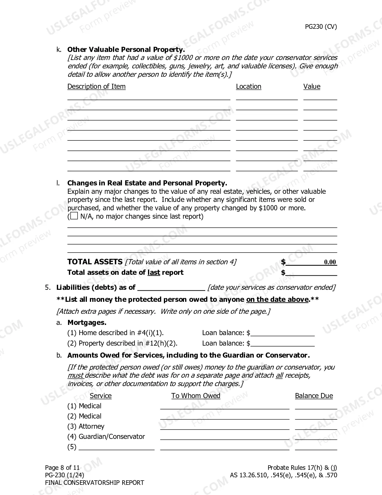 Preview Final Conservatorship Report