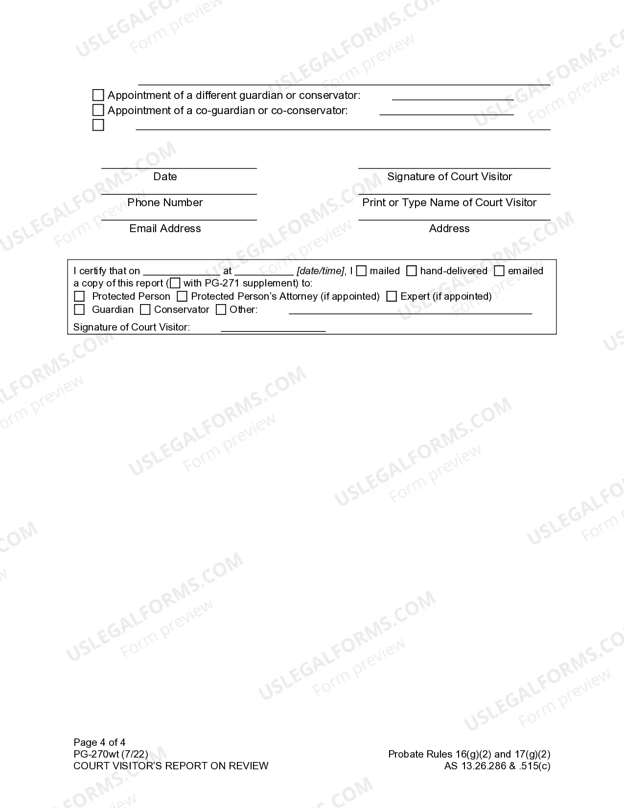 Preview Court Visitor's Report on Review