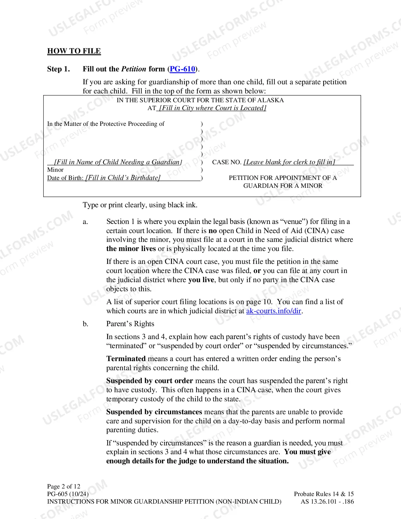 Preview Instructions for Minor Guardianship Petition - Non Indian Child