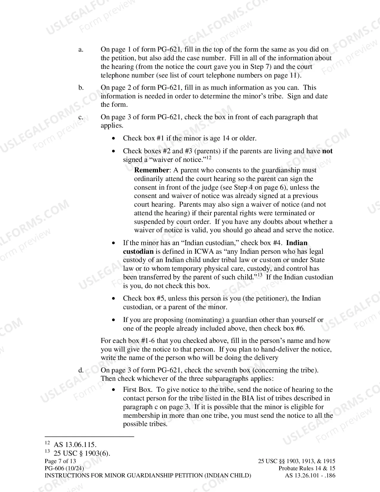 Preview Instructions for Minor Guardianship Petition - Indian Child