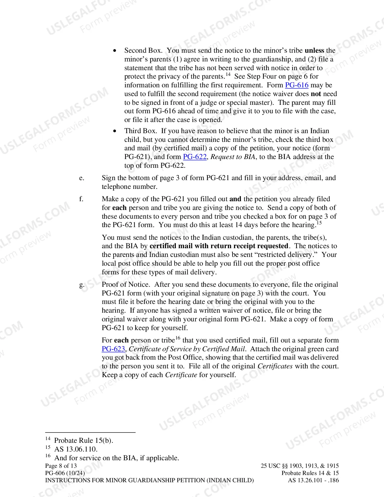 Preview Instructions for Minor Guardianship Petition - Indian Child