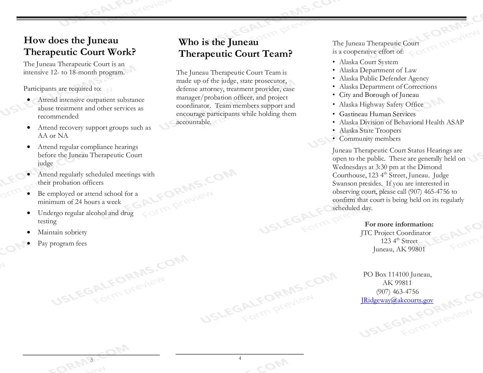 Preview Juneau Therapeutic Court