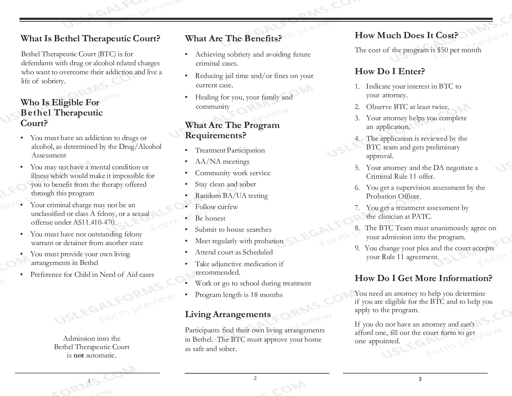 Preview Bethel Therapeutic Court