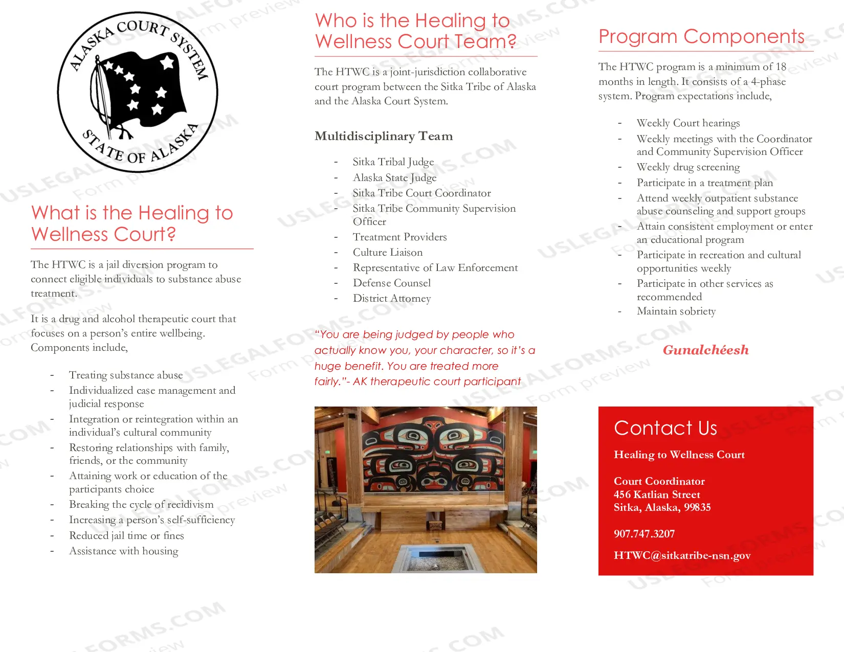 Preview Healing to Wellness Court