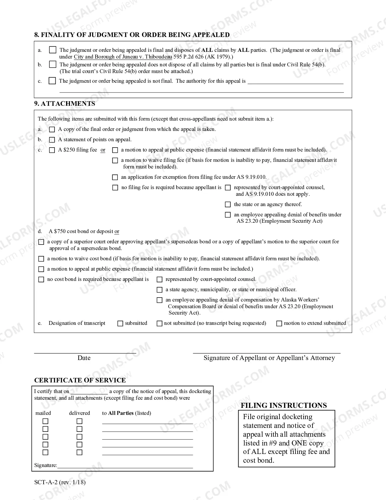 Preview Docketing Statement A