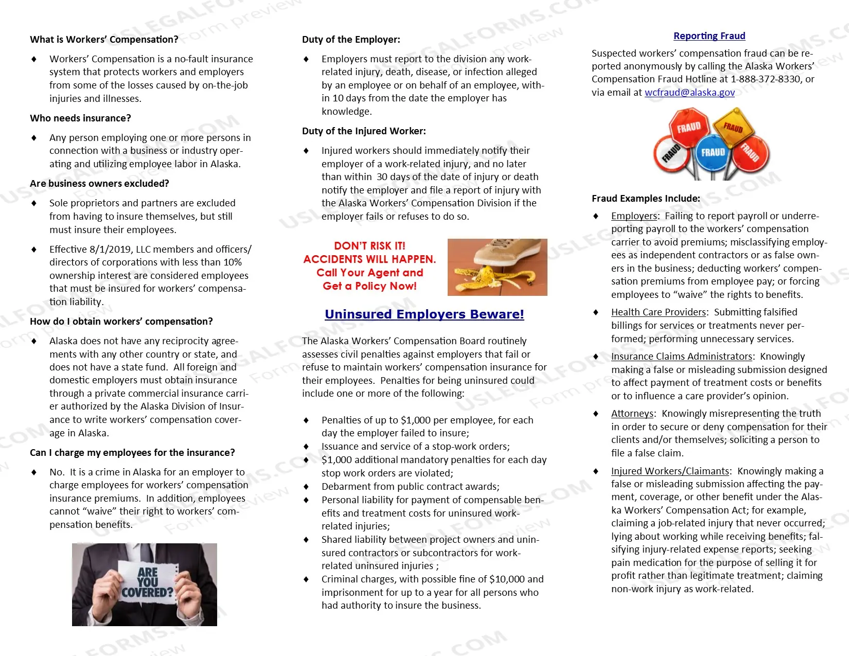Preview Special Investigations Brochure