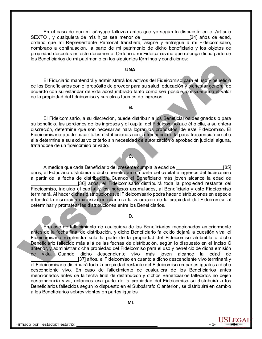 Preview Formulario de última voluntad y testamento legal para persona casada con hijos menores