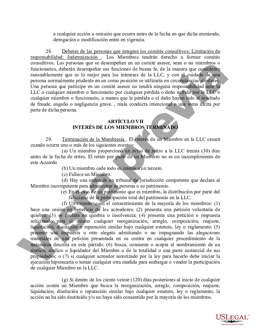 Preview Acuerdo Operativo de Sociedad de Responsabilidad Limitada LLC