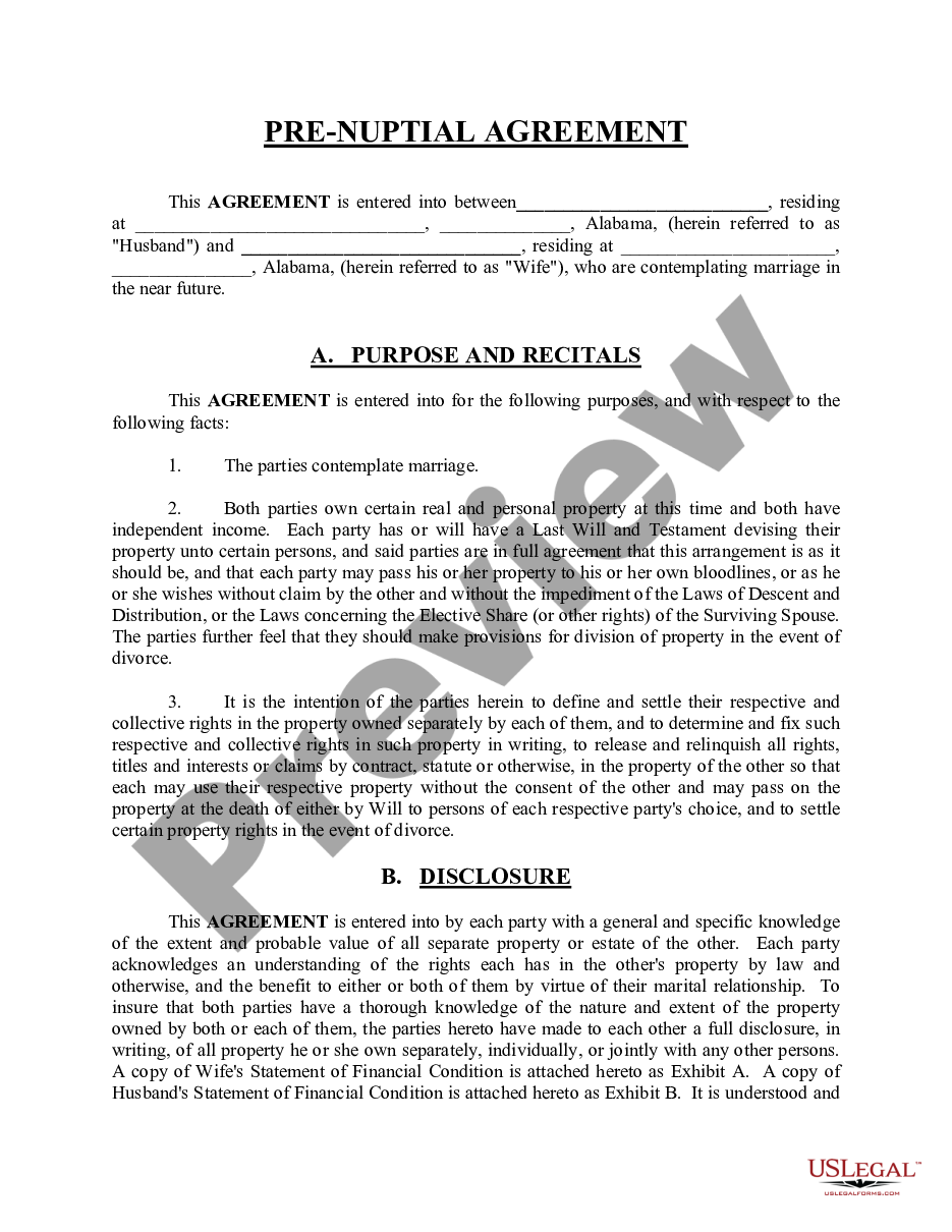 page 0 Premarital or Prenuptial Agreement preview