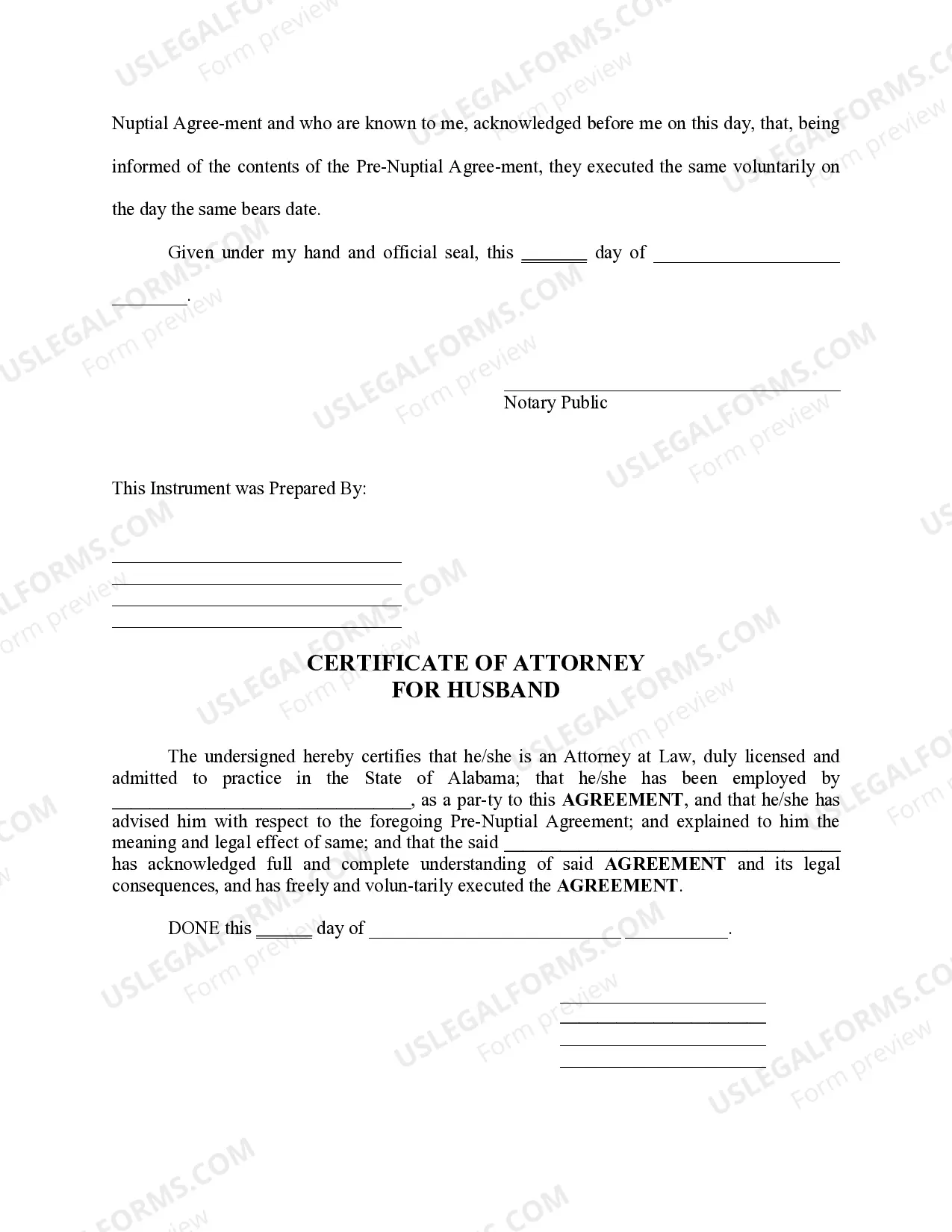 Preview Premarital or Prenuptial Agreement