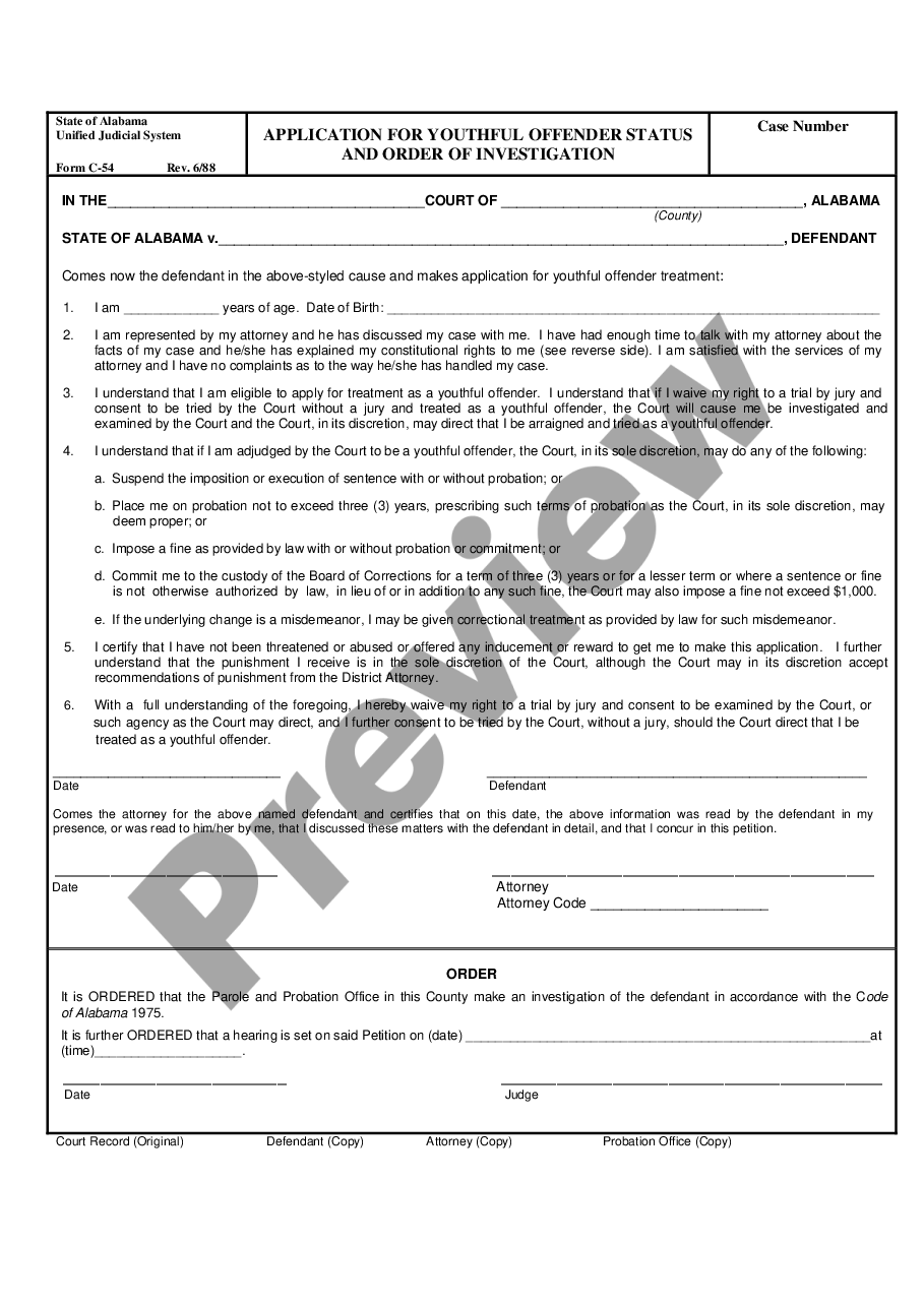 form Application for Youthful Offender Status and Order of Investigation preview