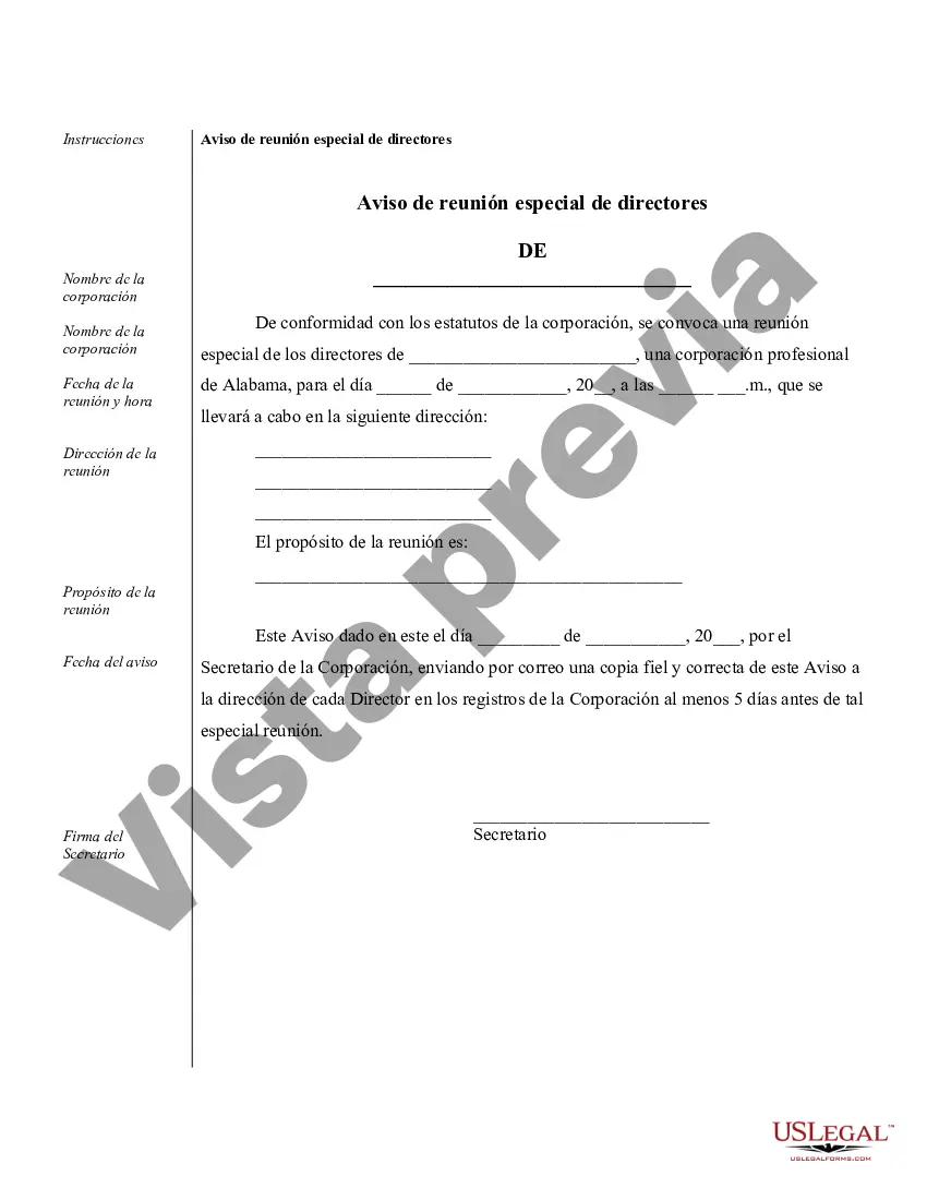 Preview Ejemplos de registros corporativos para una corporación profesional de Arkansas