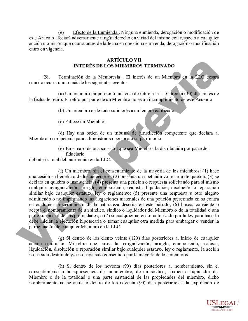 Preview Acuerdo Operativo de Sociedad de Responsabilidad Limitada LLC