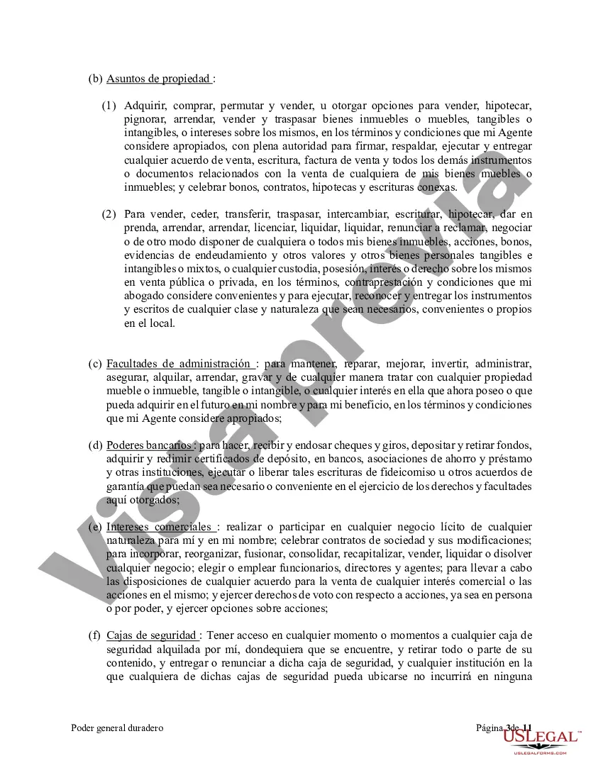 Preview Poder general duradero para la propiedad y las finanzas o efectivo financiero en caso de incapacidad