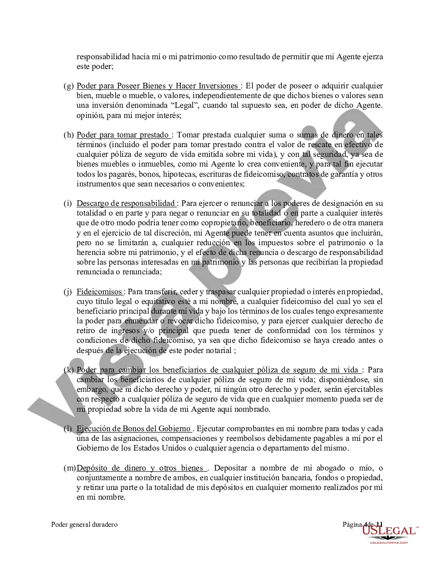 Preview Poder general duradero para la propiedad y las finanzas o efectivo financiero en caso de incapacidad
