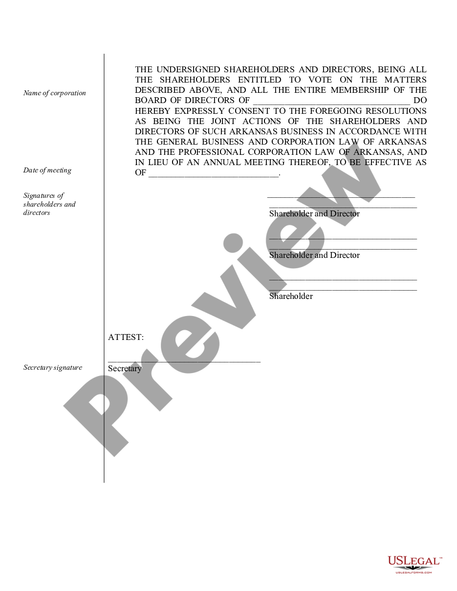 page 3 Sample Annual Minutes for an Arkansas Professional Corporation preview
