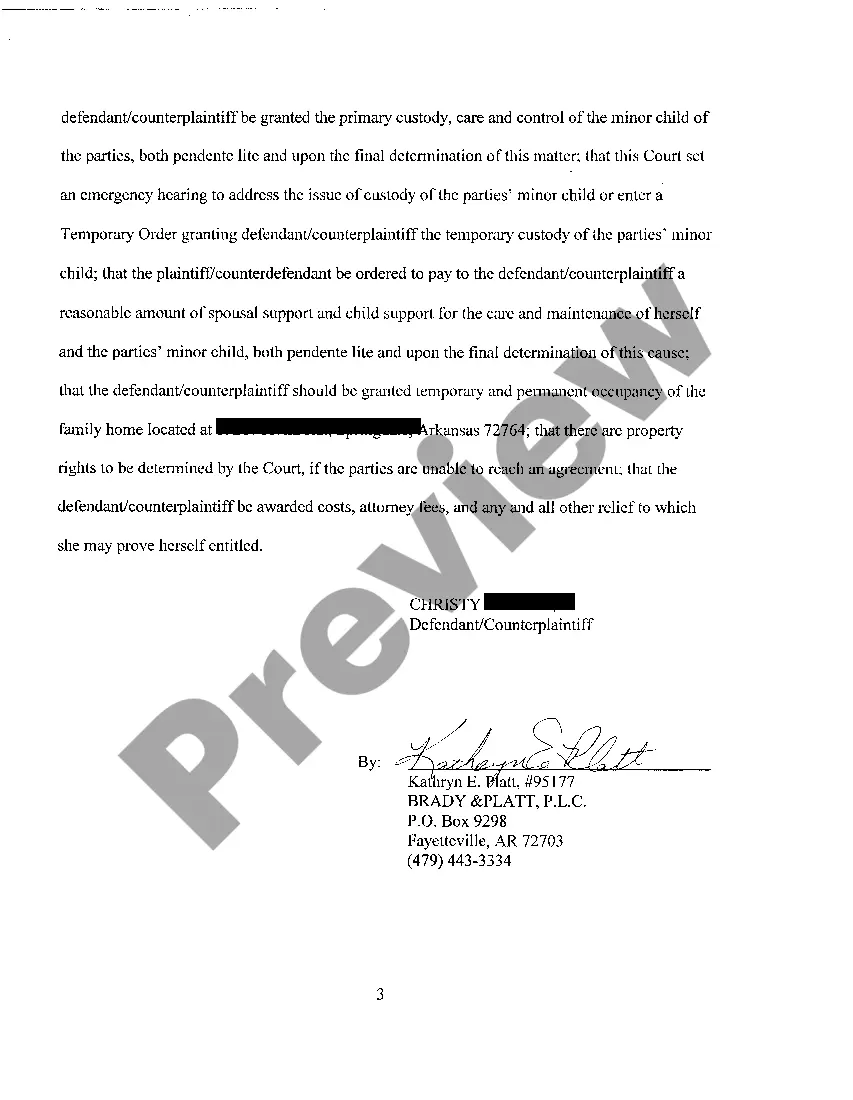 Preview A04 Counterclaim For Divorce with Children