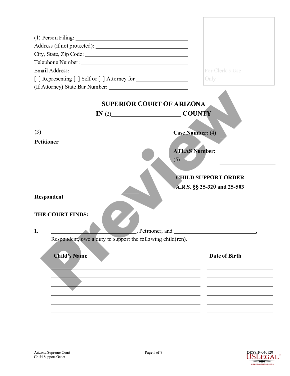 page 0 Child Support Order preview