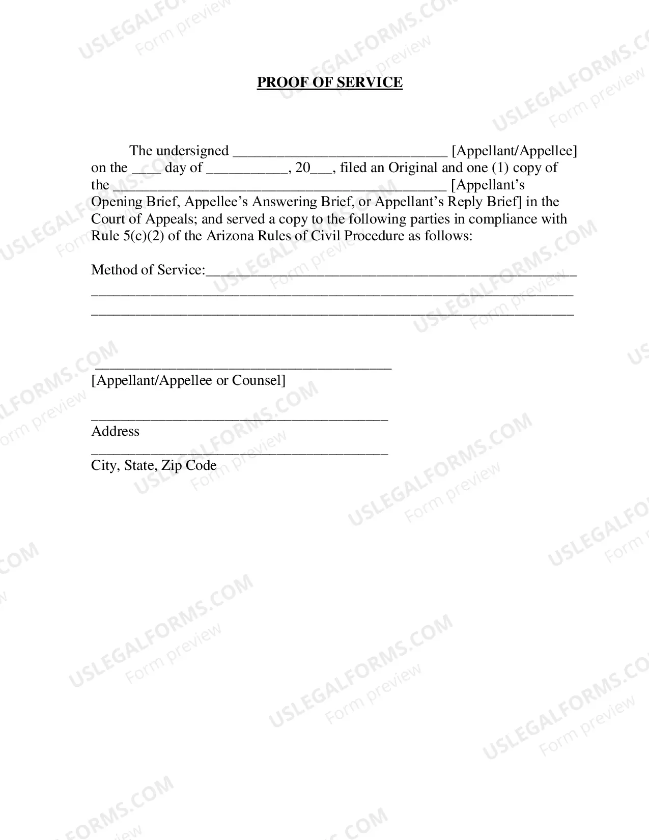 Preview Form of Brief