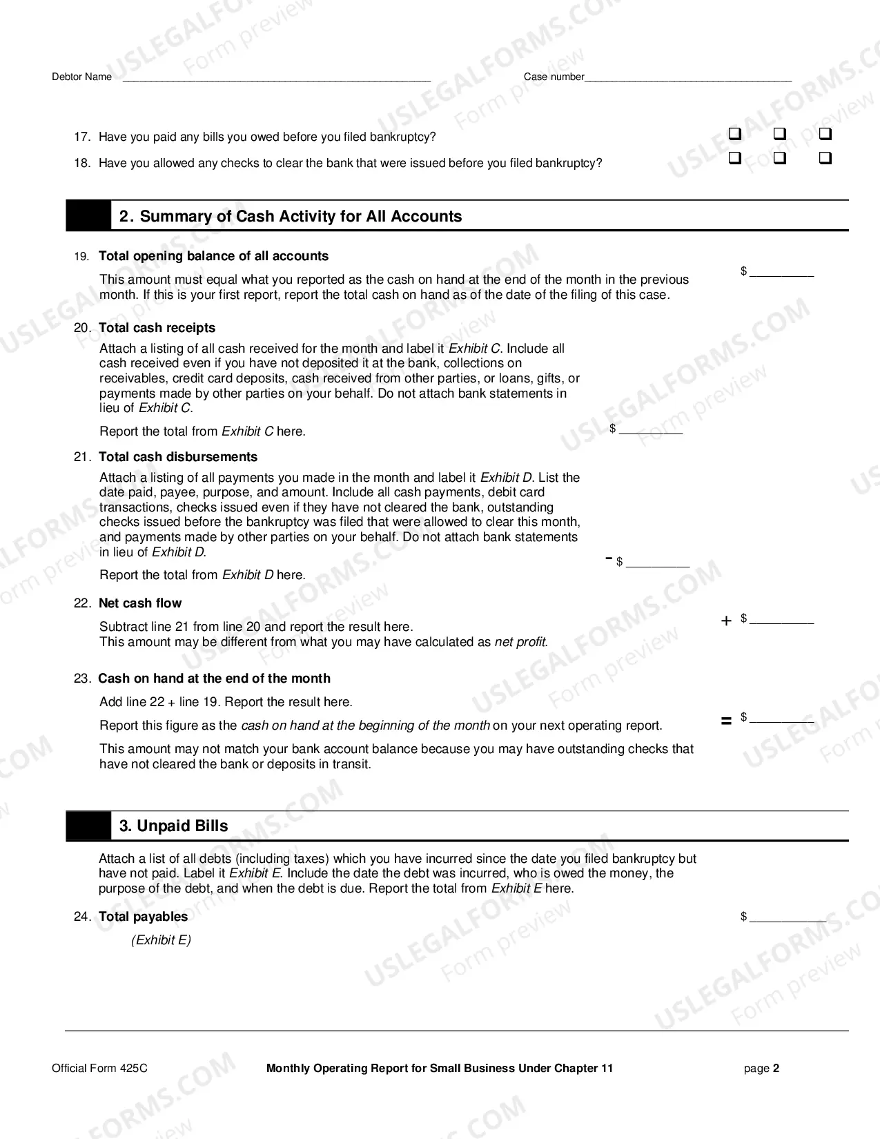 Preview Small Business Montly Report (Form 25C)