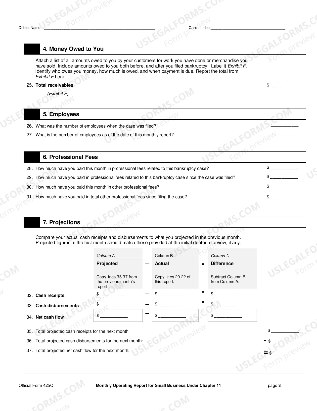 Preview Small Business Montly Report (Form 25C)