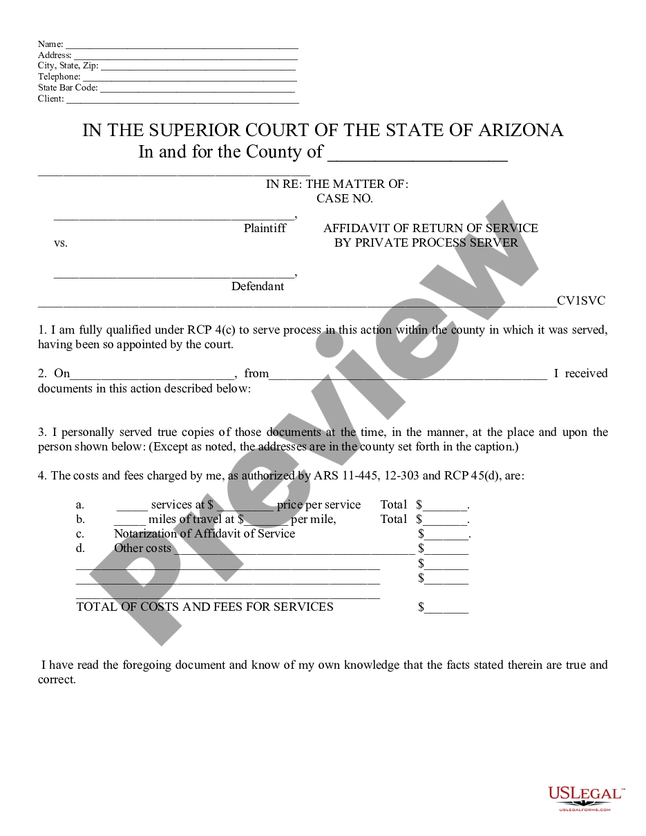page 0 Affidavit of Return of Service by Private Process Server preview
