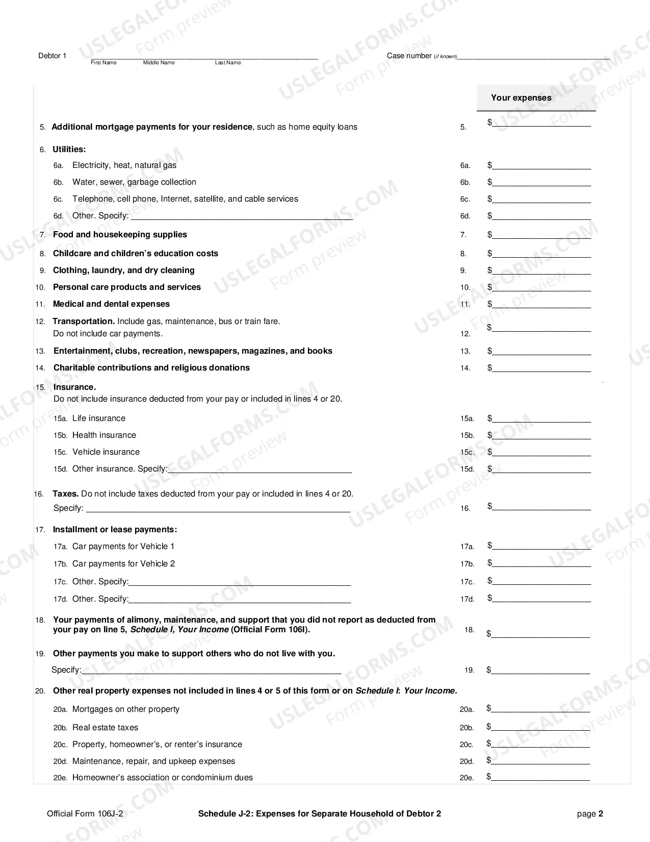Preview Schedule J-2: Expenses for Separate Household of Debtor 2 (individuals)