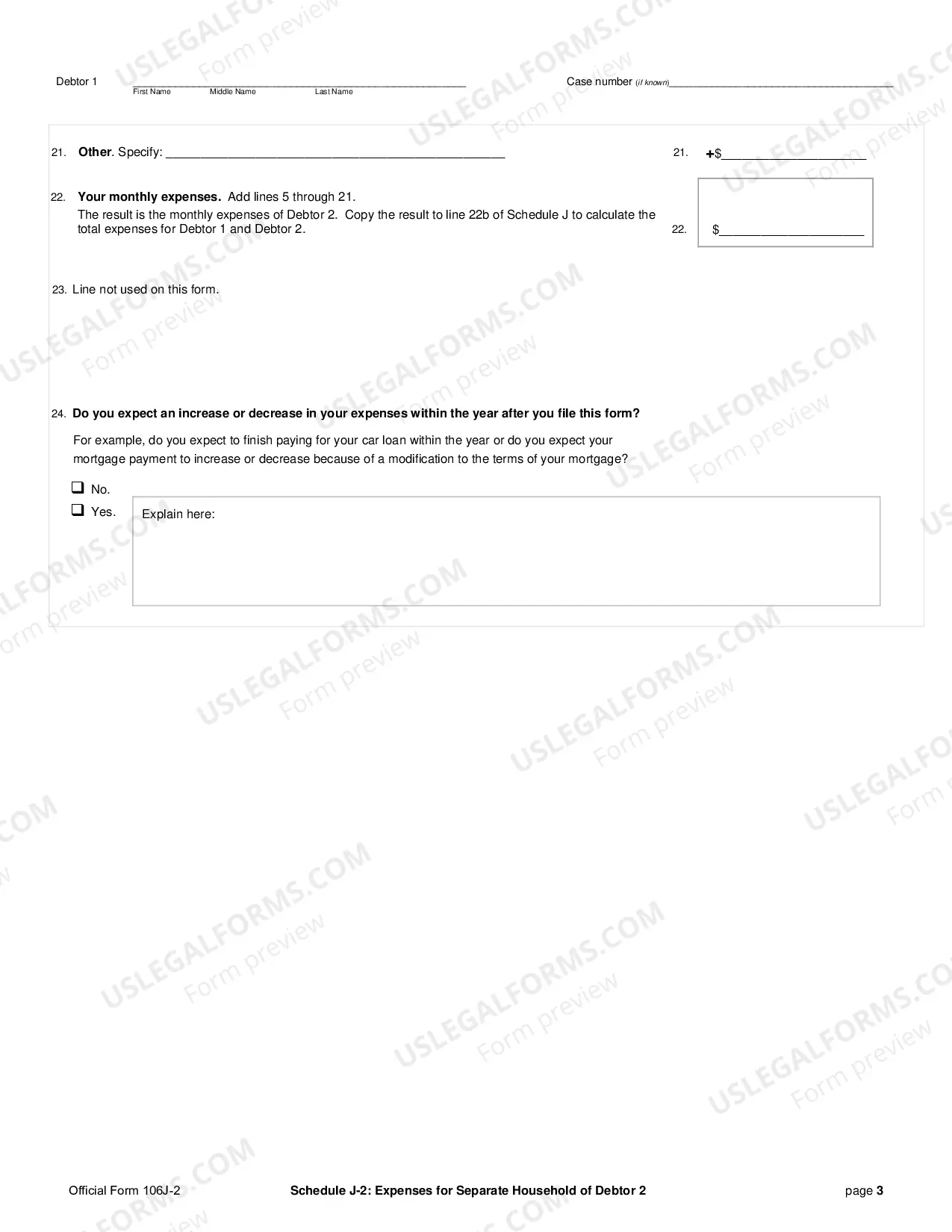 Preview Schedule J-2: Expenses for Separate Household of Debtor 2 (individuals)