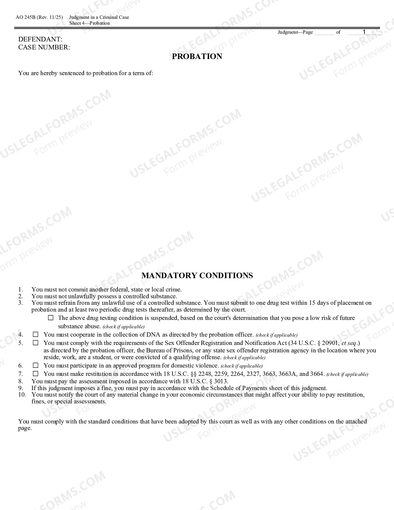 Preview Judgment in a Criminal Case