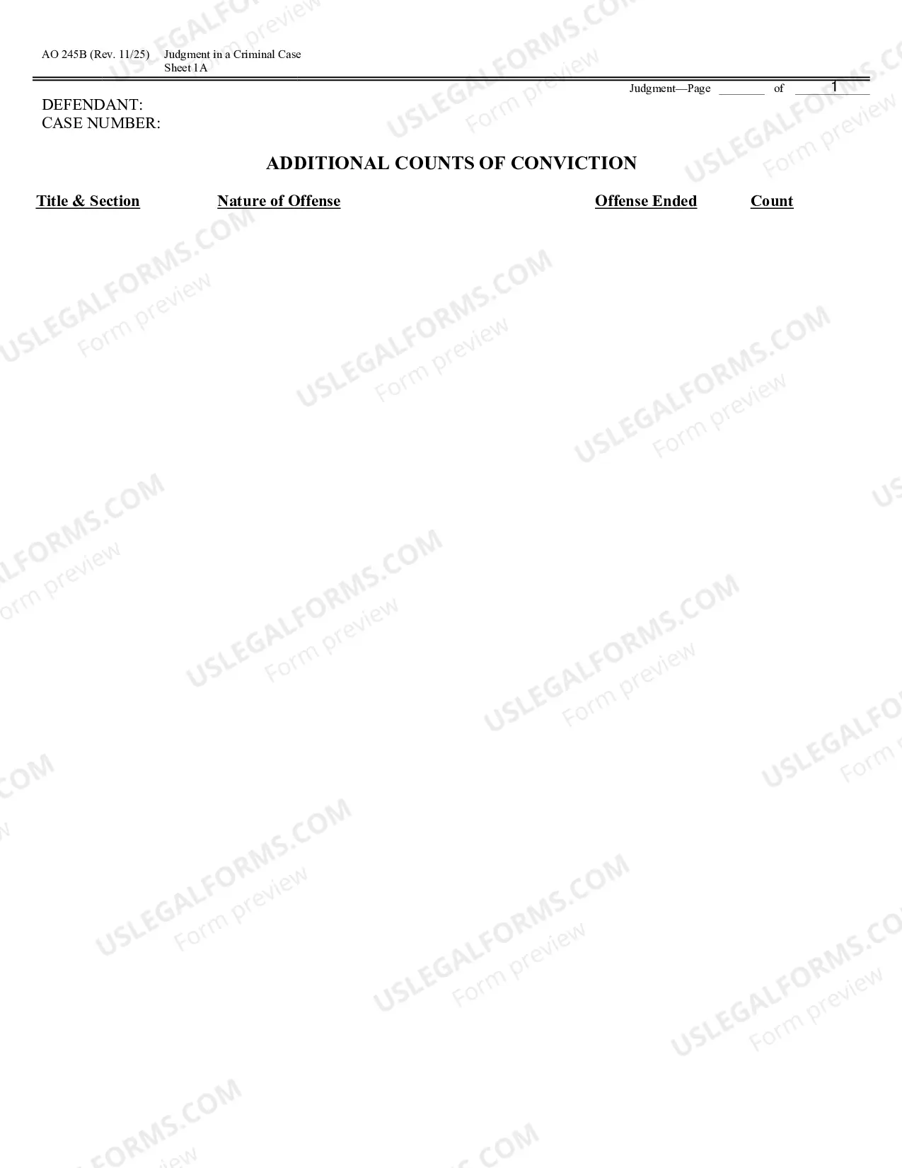 Preview Judgment in a Criminal Case
