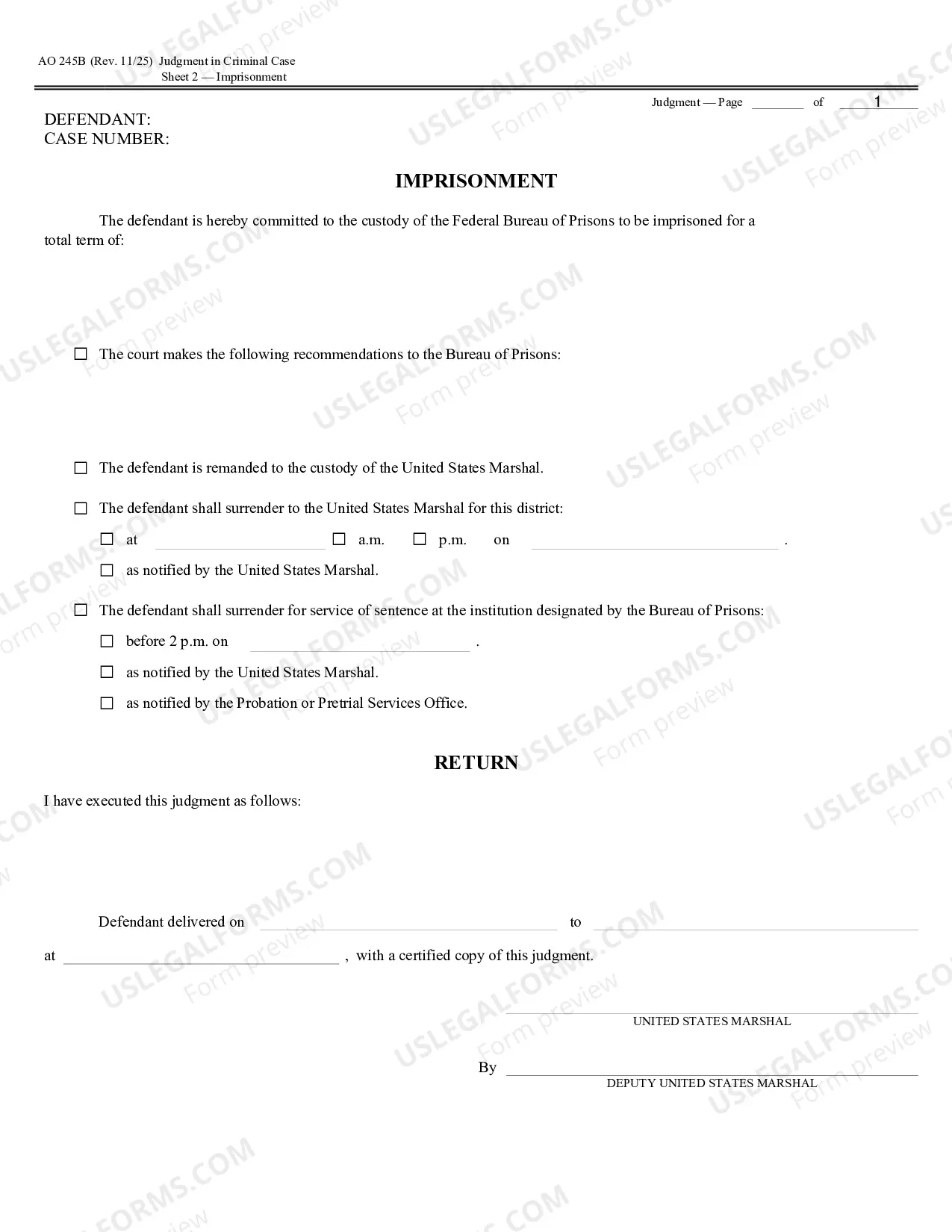 Preview Judgment in a Criminal Case
