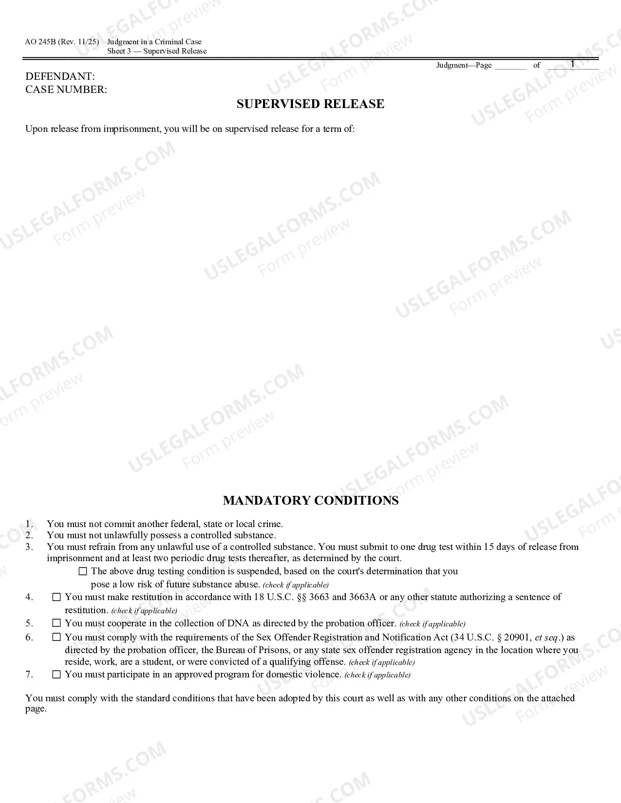 Preview Judgment in a Criminal Case